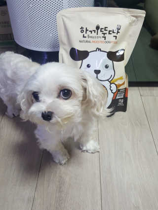 둥가둥가우리도도님이 올린 리뷰 사진 4