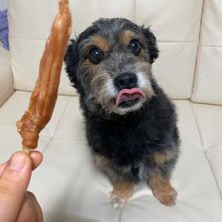 아인닝님이 올린 리뷰 사진 2