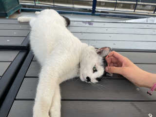 김지은님이 올린 리뷰 사진 1