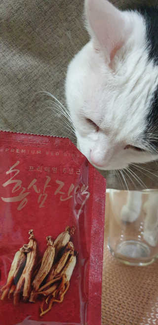 서울약사신협_프리미엄 6년근 홍삼진액_70mlx30포 — 5점을 준 리뷰어가 2020년 6월 올린 사용 사진