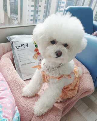 HyeokYoon님이 올린 리뷰 사진 2
