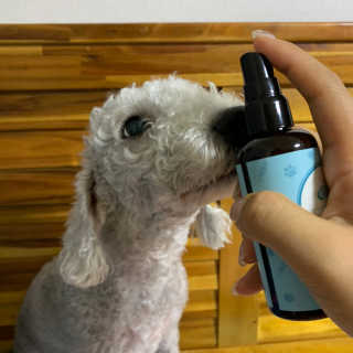 다블리님이 올린 리뷰 사진 3
