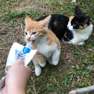 sseung님이 올린 리뷰 사진 2