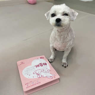 My Pet Care 천연단백질 관절건강에 개좋아 — 4.5점을 준 리뷰어가 2020년 12월 올린 사용 사진