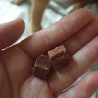 My Pet Care 천연단백질 눈건강에 개좋아 — 5점을 준 리뷰어가 2020년 11월 올린 사용 사진