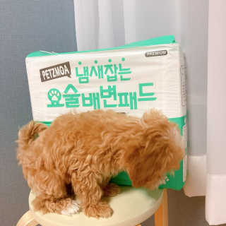 a_yom2님이 올린 리뷰 사진 3