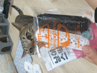 BoRaJin님이 올린 리뷰 사진 2