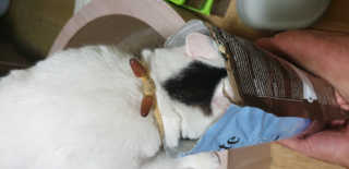 SeulonPark님이 올린 리뷰 사진 2