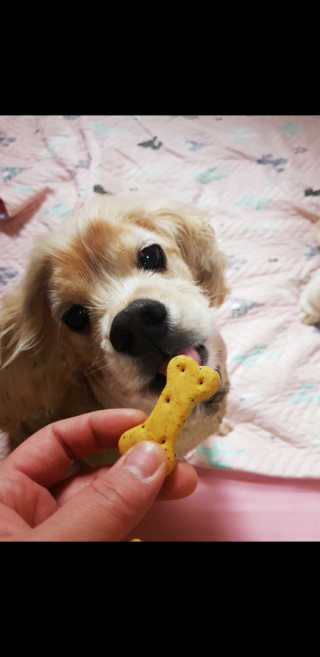 조소민님이 올린 리뷰 사진 2