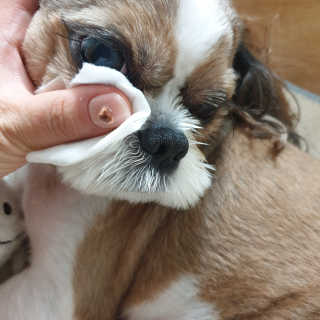땡구엄마님이 올린 리뷰 사진 3