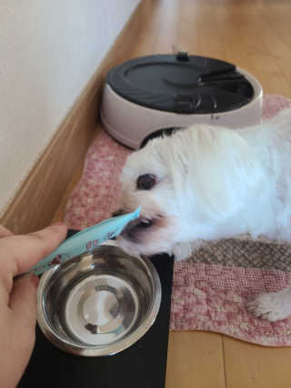 으나님이 올린 리뷰 사진 4