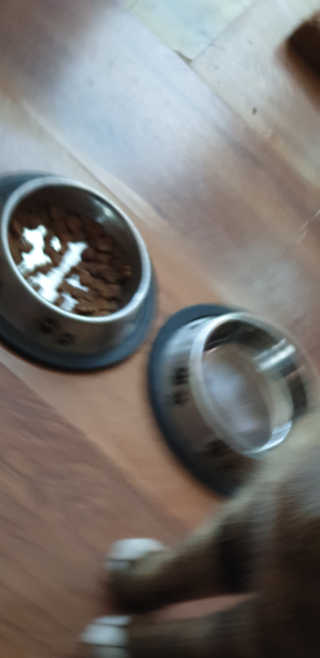 무ㅗ왜뭐님이 올린 리뷰 사진 2