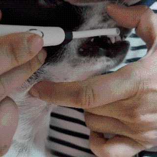 노이님이 올린 리뷰 사진 1