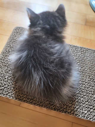 도경lee님이 올린 리뷰 사진 3