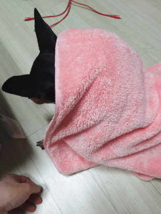 도도님이 올린 리뷰 사진 3