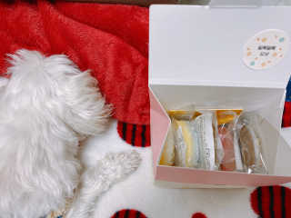 ejejejluv님이 올린 리뷰 사진 3