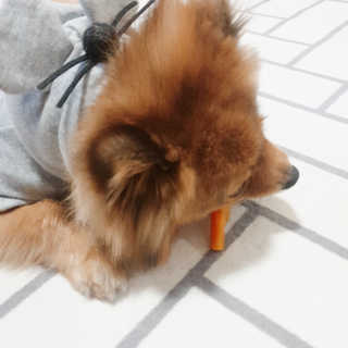 은선이짱님이 올린 리뷰 사진 4