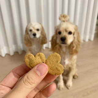 쑤니다님이 올린 리뷰 사진 3