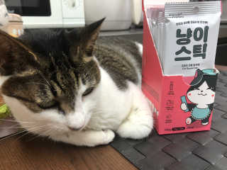 Criss님이 올린 리뷰 사진 4