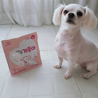 My Pet Care 천연단백질 관절건강에 개좋아 — 5점을 준 리뷰어가 2020년 12월 올린 사용 사진