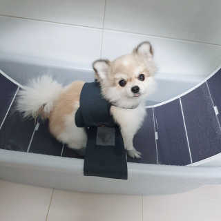 햇살나래님이 올린 리뷰 사진 3