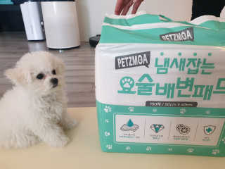 해워니님이 올린 리뷰 사진 1