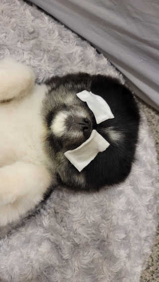 몽실맘님이 올린 리뷰 사진 3