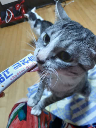 beenny님이 올린 리뷰 사진 3