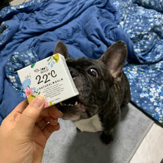 poipoo님이 올린 리뷰 사진 1