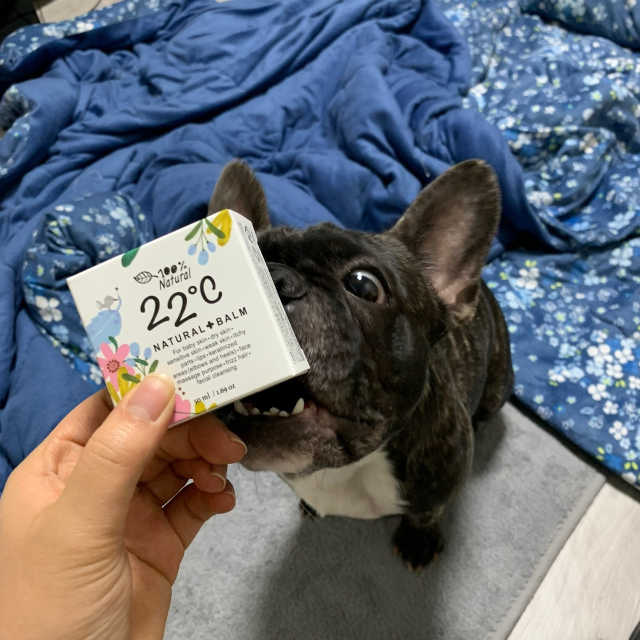 22도씨 내츄럴밤 리뷰 사진