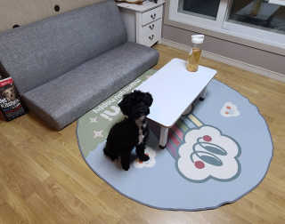 유짱님이 올린 리뷰 사진 1