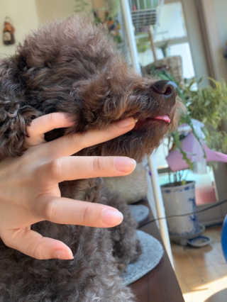 콩지님이 올린 리뷰 사진 2