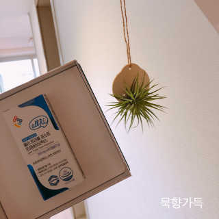 묵향가득님이 올린 리뷰 사진 2