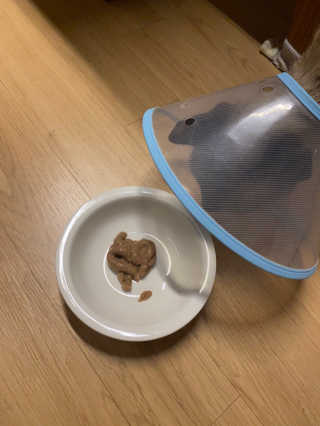 사키나이리님이 올린 리뷰 사진 3