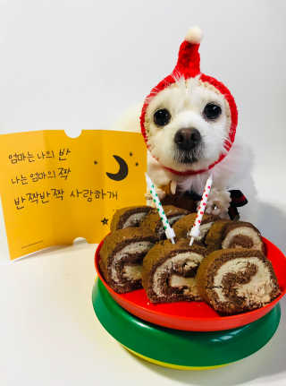 Lily님이 올린 리뷰 사진 1