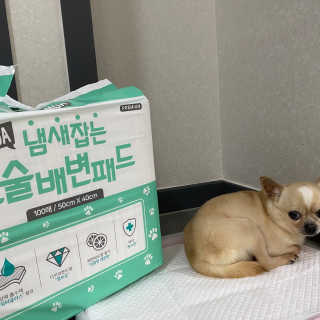 지니님이 올린 리뷰 사진 4