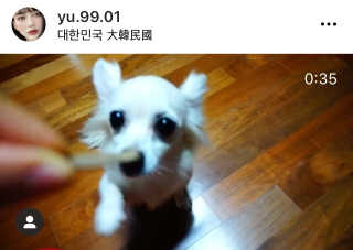 My Pet Care 천연단백질 치아건강에 개좋아 — 5점을 준 리뷰어가 2020년 12월 올린 사용 사진