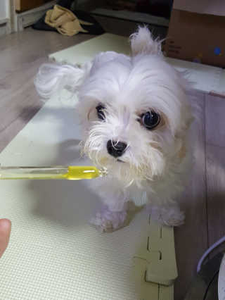 둥가둥가우리도도님이 올린 리뷰 사진 3