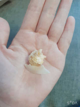 앙칼진 냔님이 올린 리뷰 사진 2