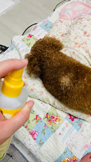 여름솔님이 올린 리뷰 사진 2