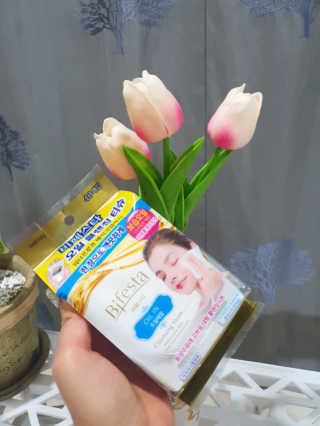 페티앙님이 올린 리뷰 사진 2