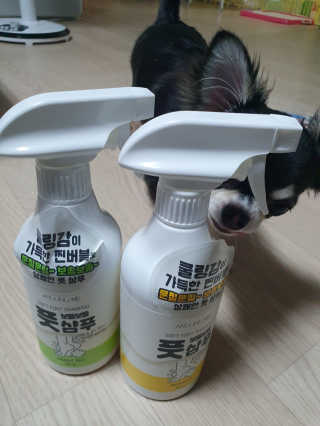 빈이율빠님이 올린 리뷰 사진 1