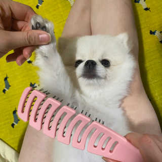 임혜빈님이 올린 리뷰 사진 1