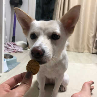 영음님이 올린 리뷰 사진 1