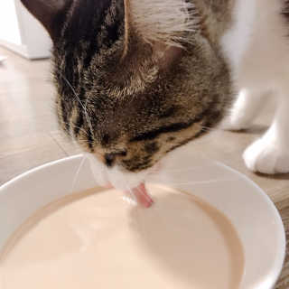 Hpy님이 올린 리뷰 사진 3