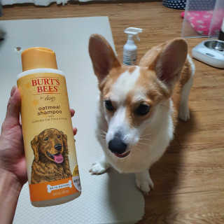 샤넬젤라님이 올린 리뷰 사진 2