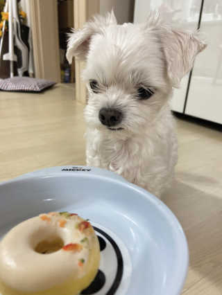 나유니님이 올린 리뷰 사진 1