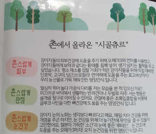 빠빠야님이 올린 리뷰 사진 4