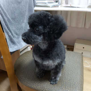 쓔리님이 올린 리뷰 사진 3