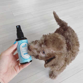 체리봉봉님이 올린 리뷰 사진 4